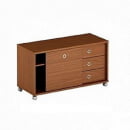 Тумба мобильная с дверью купе В 202.1 Венге магия_1