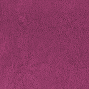 Euphoria Fuchsia