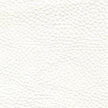 Consul White