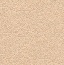 Consul Canvas