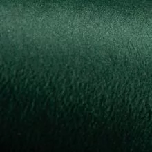 Зеленый 1922-9