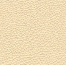 Consul Panna