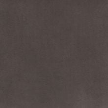 Пепельно-серый