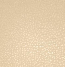 Polaris Beige