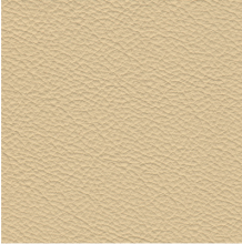 Consul Ivory