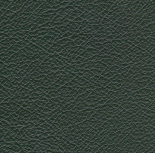 Consul Green