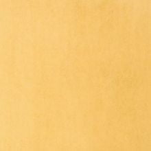 Горчичный Simple 15