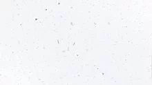 Белая Искра (Глянец)