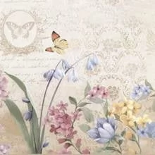 Оливия 15