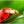 AG 09 Глянцевый фартук (МДФ) AG 09
