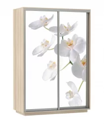 Шкаф-купе двухдверный Экспресс Дуо 1400х2200h Белая орхидея/Ясень шимо светлый