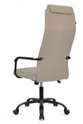 Кресло Рай РCХ Высокая спинка РПХ-28 Бежевый / Ray RCH RPH-28