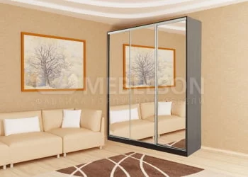 Шкаф-купе Бассо 4-600 Венге