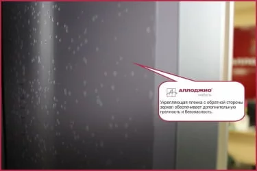 Шкаф-купе Хит-24-12-11 Ясень шимо темный