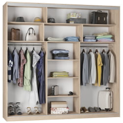 Шкаф-купе Б-230х235х60-1(ДСС-Белый-Д9Д9Д9) / B-230х235х60-1(ДСС-Белый-D9D9D9)