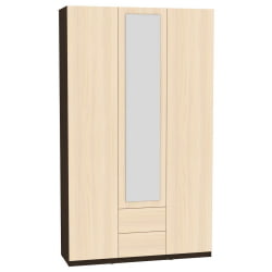 Шкаф распашный R-230х135х45-2-PO-M(Венге-ДМ)