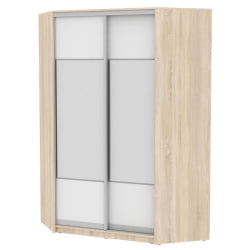 Шкаф-купе YA-230х1400-568-3(ДСС-Белый-D3D3)