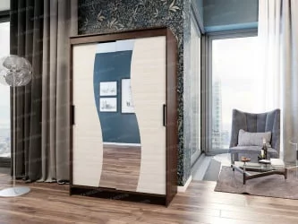 Шкаф-купе 22205