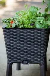 Грядка для растений Easy Grow
