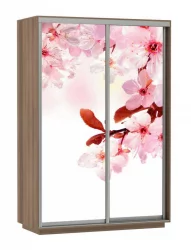 Шкаф-купе двухдверный Экспресс Дуо 1600х2200х Сакура/Ясень шимо тёмный / 1600х2200h