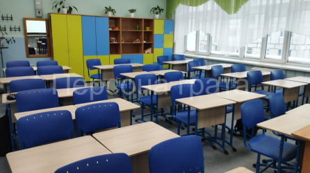 Стол для школьника 1-местный регулируемый (рост 3-5) 600х500 мм ЛДСП Бук/Металл Серый