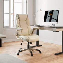 Эргономичное компьютерное кресло Eureka OC11-OW, белое