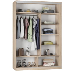 Шкаф-купе Б-220х160х60-2(ДМ-Д9Д9) / B-220х160х60-2(ДМ-D9D9)