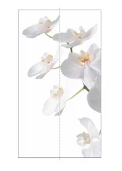 Шкаф-купе с фотопечатью Экспресс Дуо 1200х2400х Орхидея белая/Дуб сонома / 1200х2400h