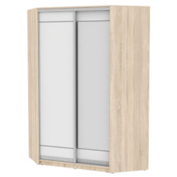 Шкаф-купе YA-230х1400-718-2(ДСС-Белый-D1D2)