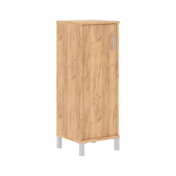 Стеллаж с дверью ДСП В421.6 L Дуб Бофорд