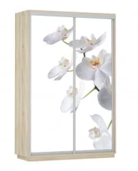 Шкаф-купе двухдверный Экспресс Дуо 1400х2400х Белая орхидея/Дуб сонома / 1400х2400h