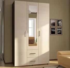 Шкаф-купе ШК-019 Белый