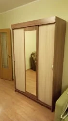 Гардеробный шкаф-купе Басса ШКК 551 (ясень шимо темный/светлый)