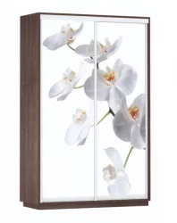 Шкаф-купе двухдверный Экспресс Дуо 1400х2400х Белая орхидея/Венге / 1400х2400h