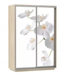 Шкаф-купе с фотопечатью Экспресс Дуо 1400х2400х Белая орхидея/Ясень шимо светлый / 1400х2400h