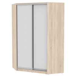 Шкаф-купе YA-230х1400-718-2(ДСС-D5D5)