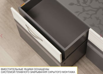 Стенка для гостиной Графит 604 402 (ширина 300 см)