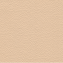Consul Canvas