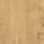 Teakwood
