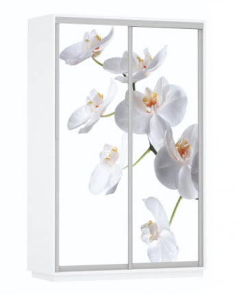 Шкаф-купе двухдверный Экспресс Дуо 1400х2400х Белая орхидея/Белый снег / 1400х2400h_0