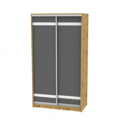 Шкаф-купе B-220х120х60-1(ДВ-Графит-D9D9)_0