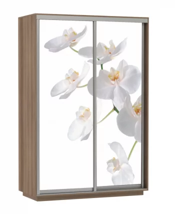 Шкаф-купе двухдверный Экспресс Дуо 1400х2400х Белая орхидея/Ясень шимо тёмный / 1400х2400h_0