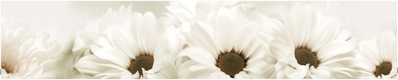 Глянцевый фартук (КОМПОЗИТ) KM 86_0