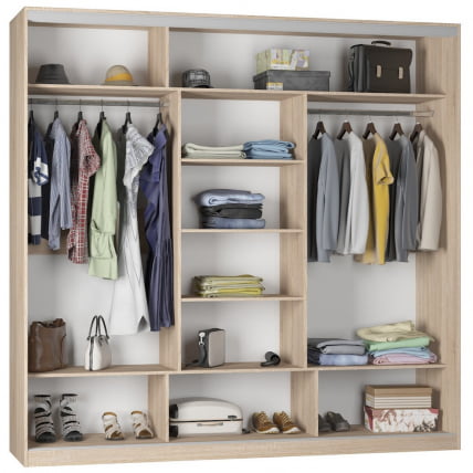 Шкаф-купе Б-220х235х60-2(ДСС-Белый-Д10Д10Д10) / B-220х235х60-2(ДСС-Белый-D10D10D10)_1