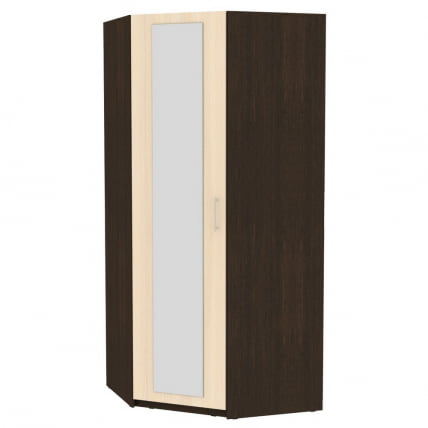 Шкаф распашный YR-230х1034-M(Венге-ДМ-1)_0
