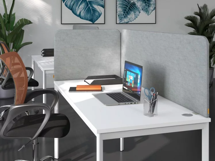 Акустический торцевой экран РАНД Акоустиc КСАСП 850 Браво Грей / RAND Acoustic XASP Bravo Grey_1