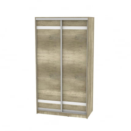 Шкаф-купе B-220х120х60-1(ДКМ-D9D9)_0