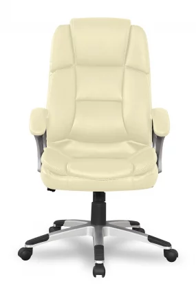 Кресло руководителя BX-3323/Beige_1