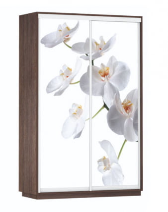 Шкаф-купе двухдверный Экспресс Дуо 1400х2400х Белая орхидея/Венге / 1400х2400h_0